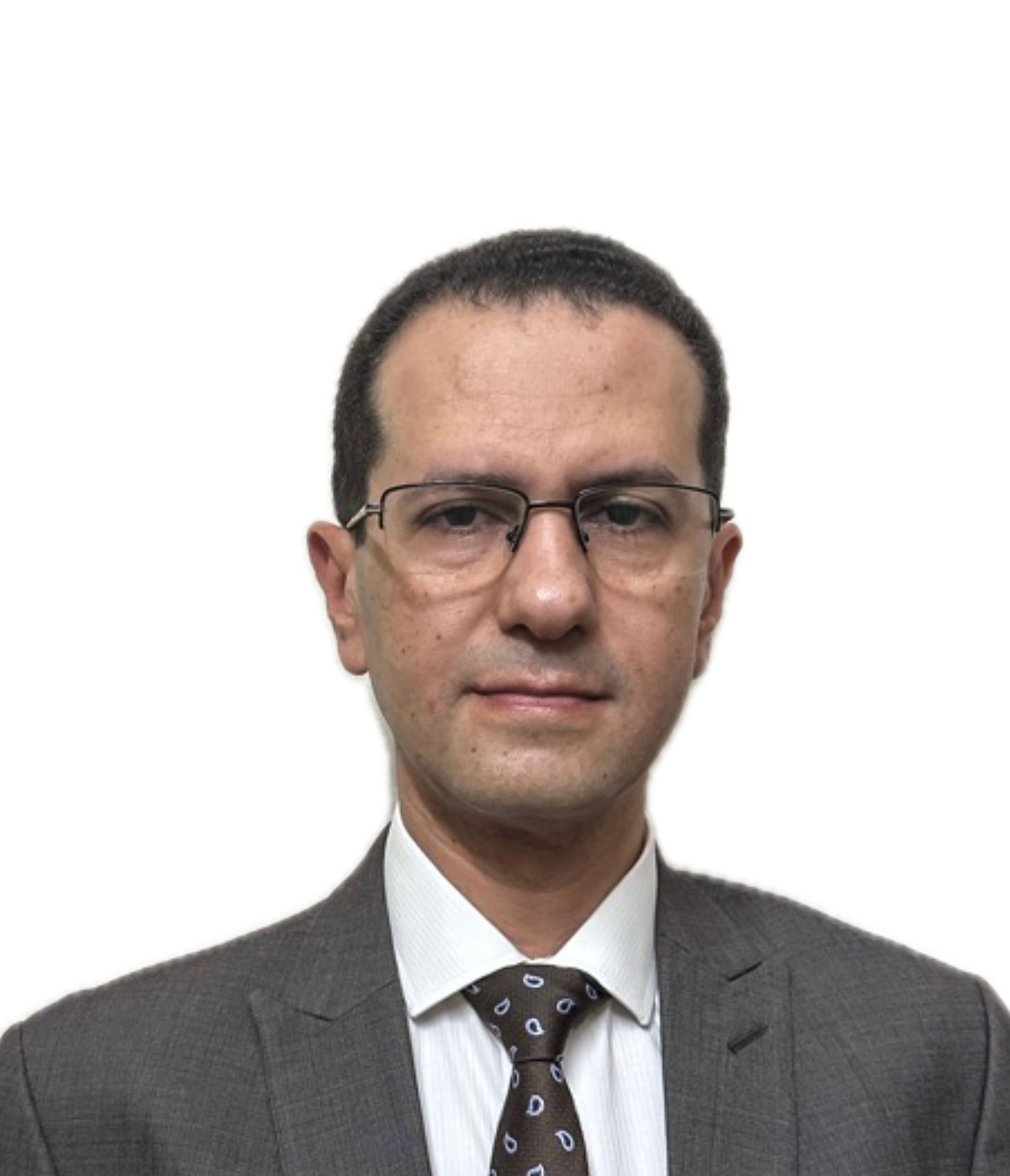 Hon. Wael Abdel-Radek